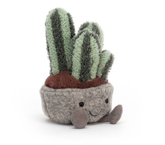 Wesoły Kaktus 15 cm